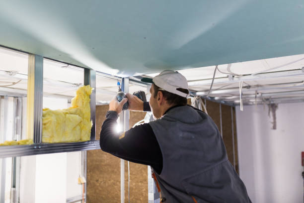 Best Insulation Installation Services in Bay, AR